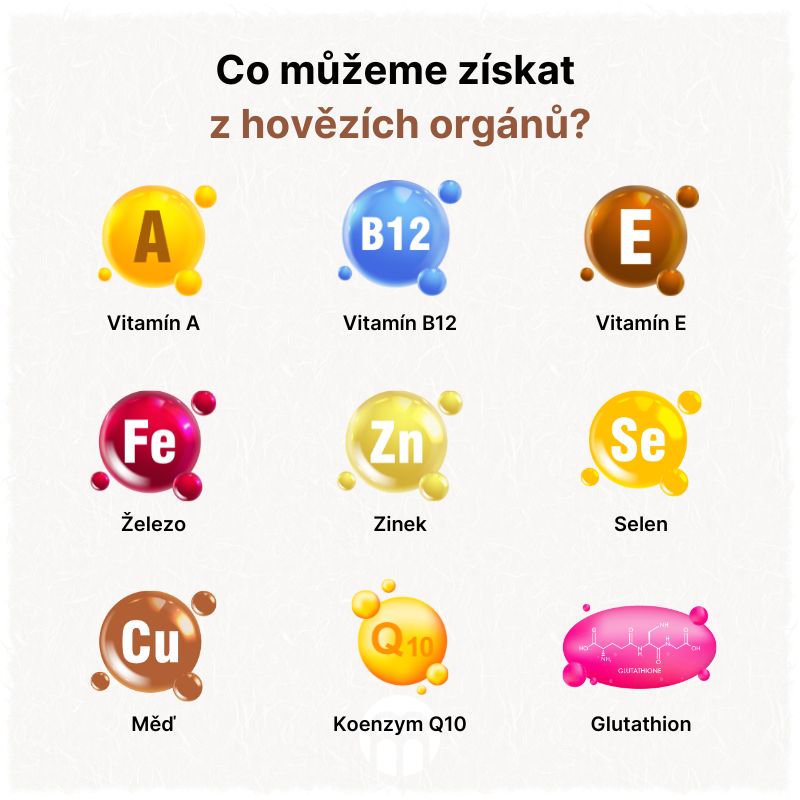 Co můžeme získat  z hovězích orgánů